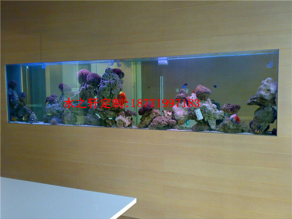 嵌入式魚缸