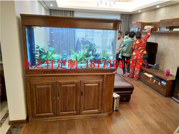 子彈頭魚缸